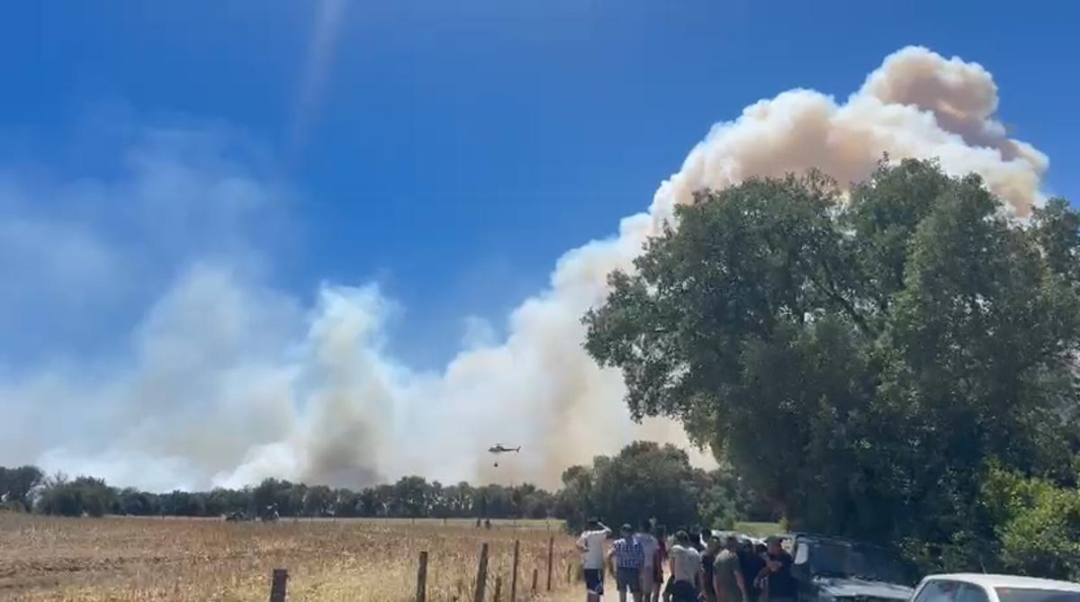Incendi al peu de les Gavarres a la Bisbal
