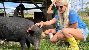 Una voluntaria del refugio Selahs Pig Sanctuary, situado en Hawái (Estados Unidos), junto a uno de sus cerdos.