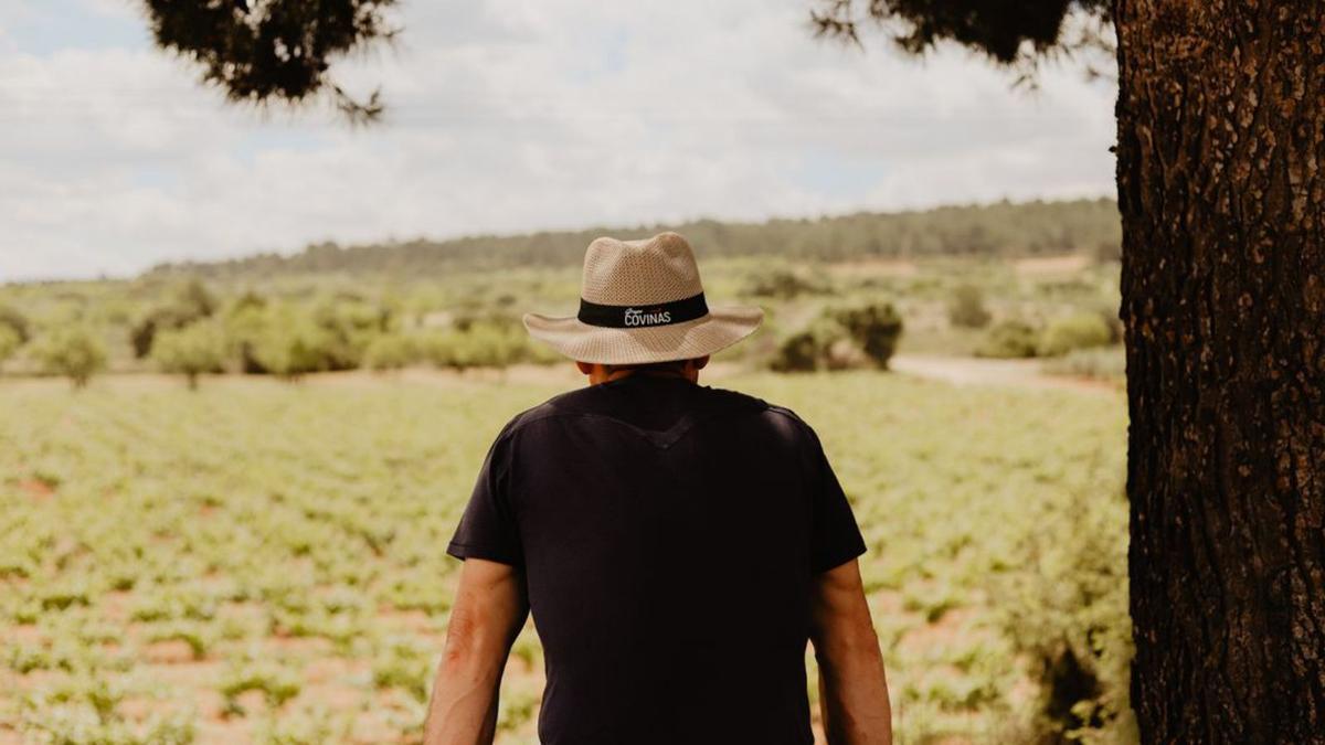 Un viticultor contempla los viñedos en el término de Requena.