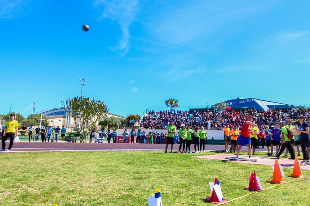 Olimpiadas clásicas en Torrevieja