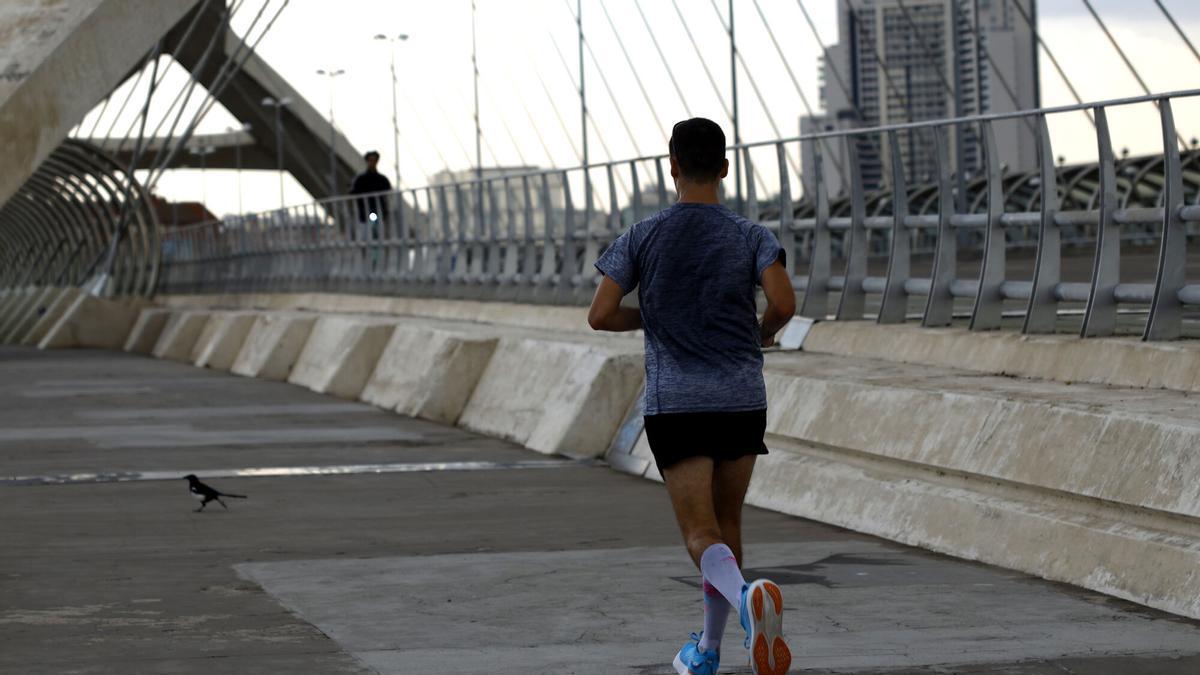Los entrenadores ya coinciden: "Caminar 1 hora 7 días a la semana con un ritmo de paseo de abuelo son 75.000 calorías al año"