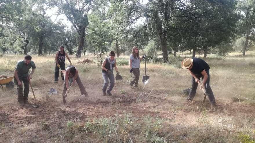 Inicio de las excavaciones en el cerro de La Encarnación, ayer por la mañana