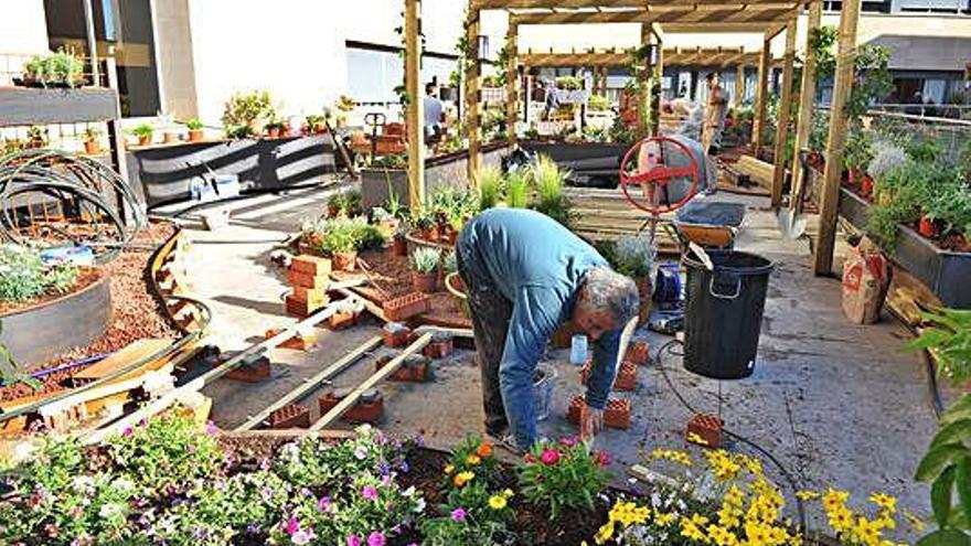 Aquesta setmana s&#039;està fent la plantació del jardí.