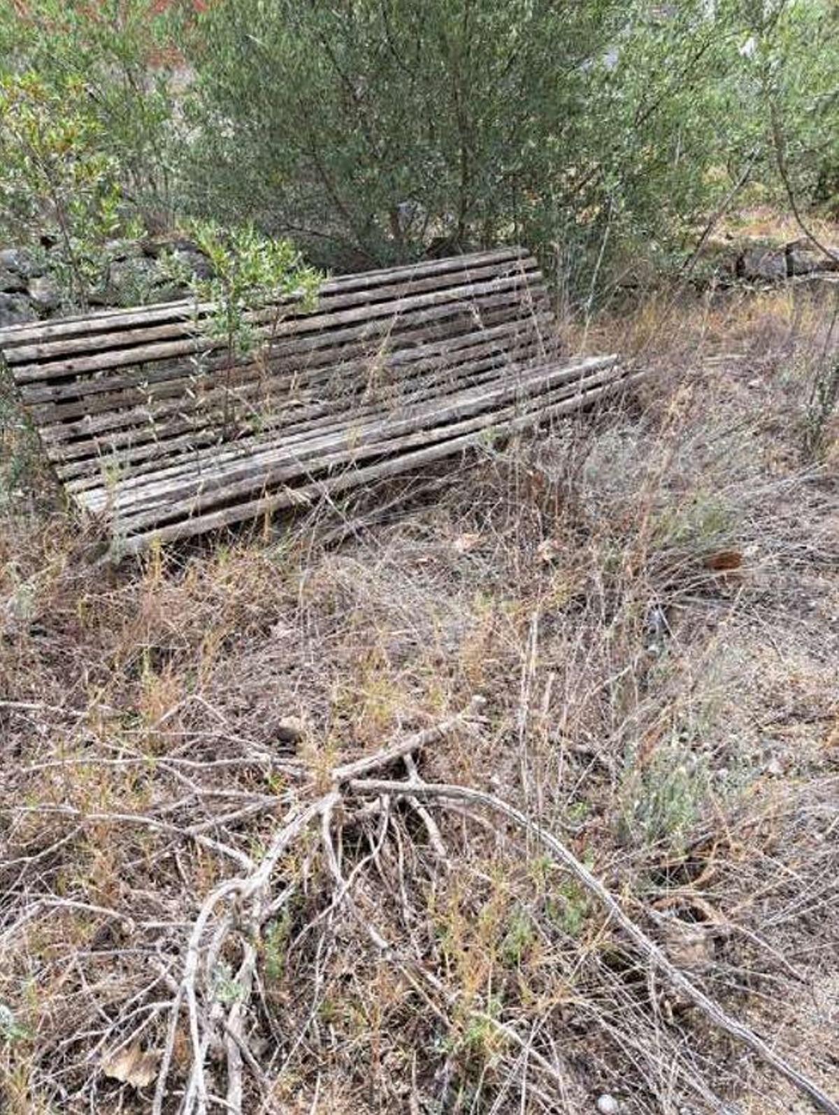 Un banc totalment deteriorat envoltat d’herbotes