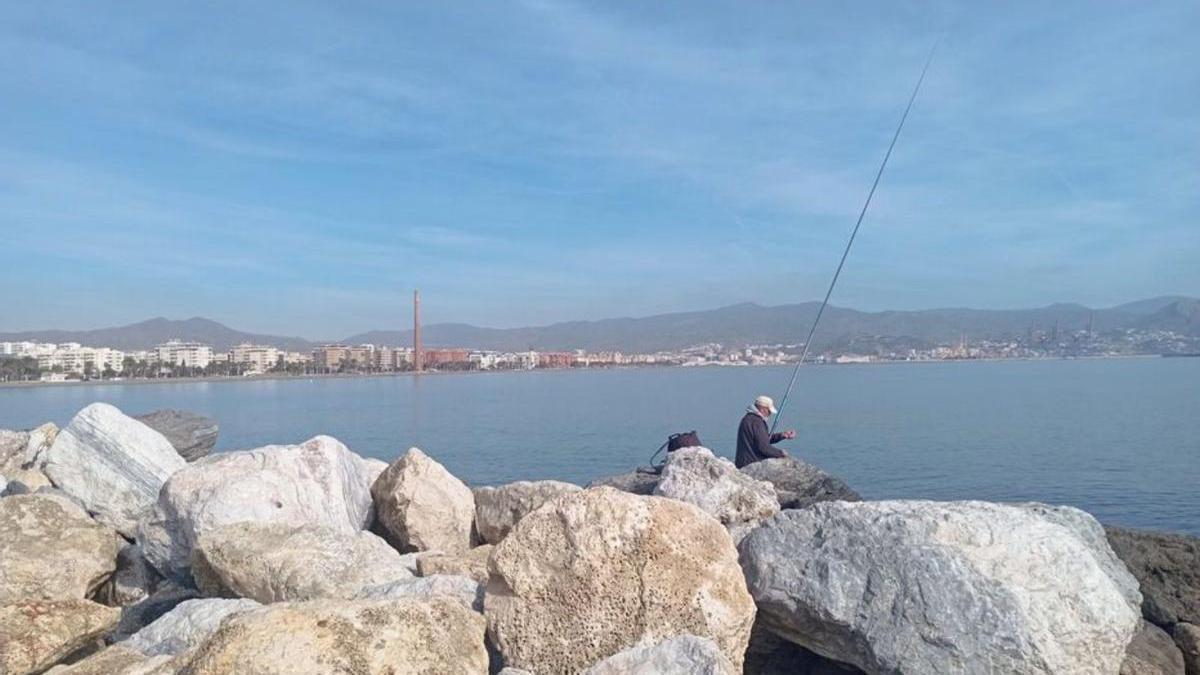 Vista de Málaga desde el espigón de la Térmica.