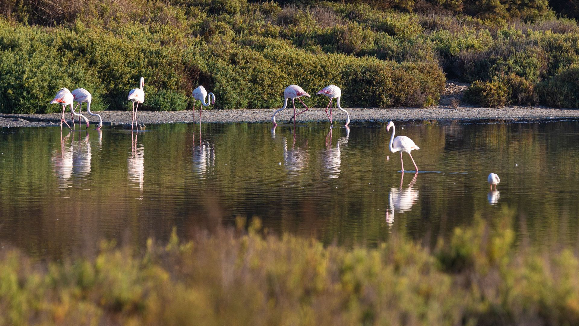 Un parque natural muy vivo