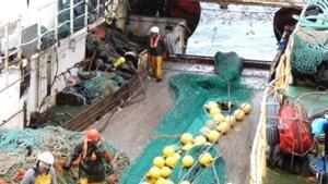 Marineros a bordo de la cubierta del Pitanxo.