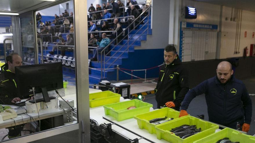 El personal de la rula de Avilés verifica que todo está en orden en la cinta transportadora que conduce el pescado a la cancha donde los compradores, al fondo, pujan por la mercancía.