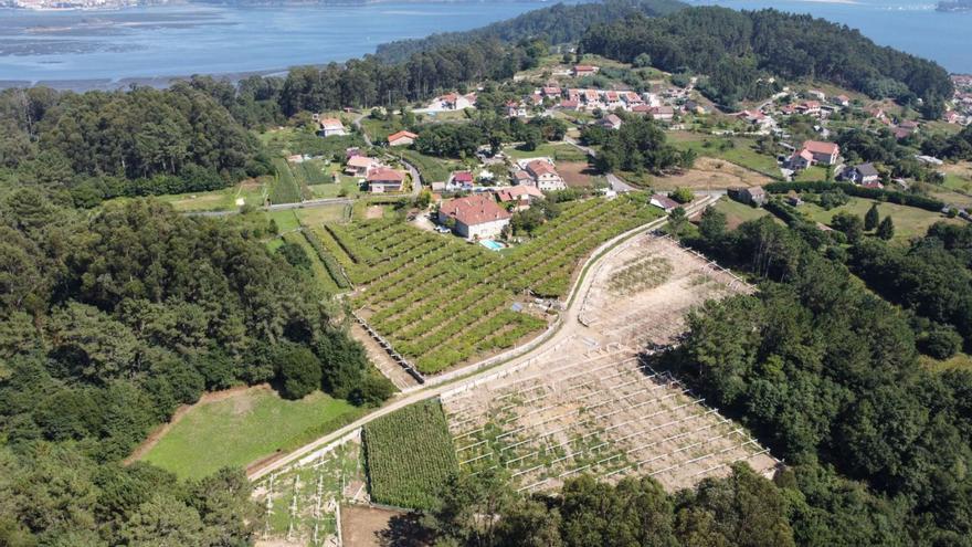 Un vino de “Ribeiras do Morrazo” logra un Gran Oro en concurso nacional Vinespaña