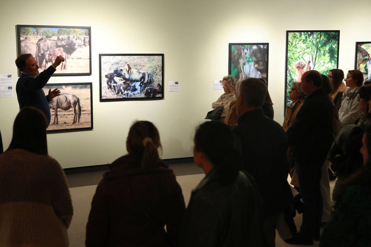 45 especies de animales exponen su maternidad  crianza