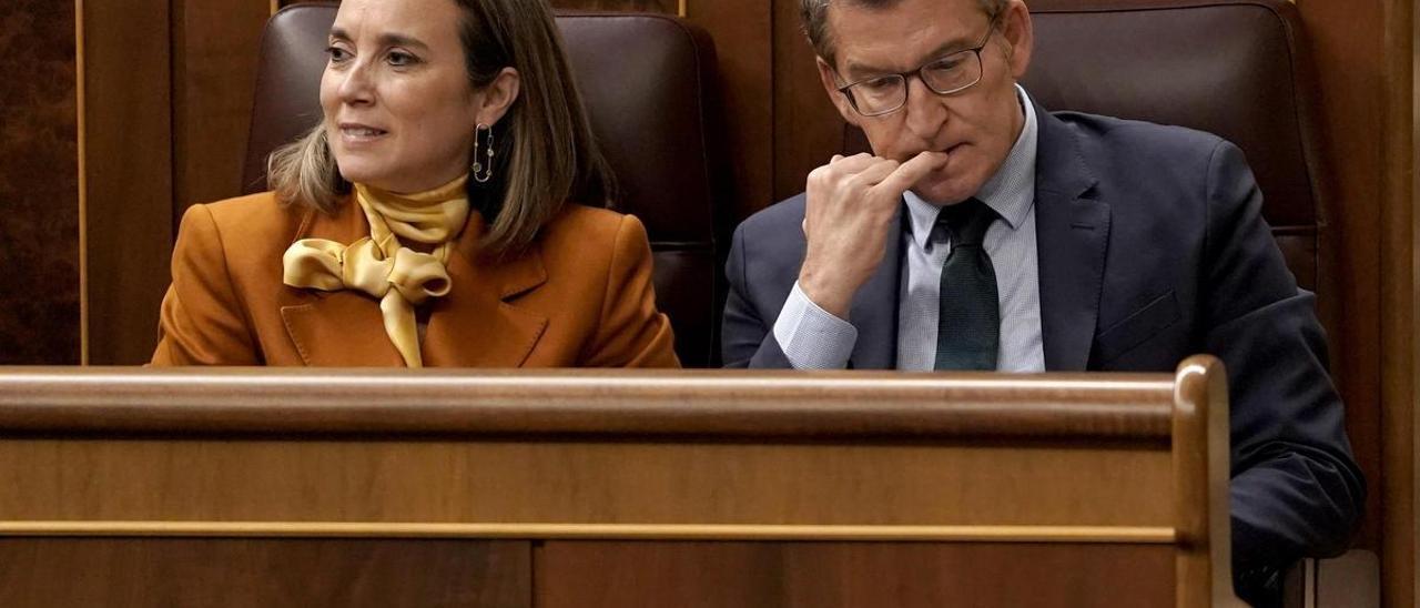 Alberto Núñez Feijóo y Cuca Gamarra en el pleno del Congreso que debatió la ley de amnistía.