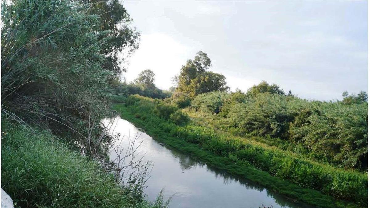 El cauce del río Guadalhorce a su paso por Alhaurín de la Torre