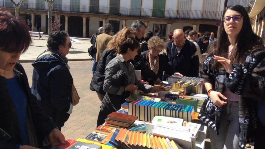 Feria del Libro en Fuentesaúco