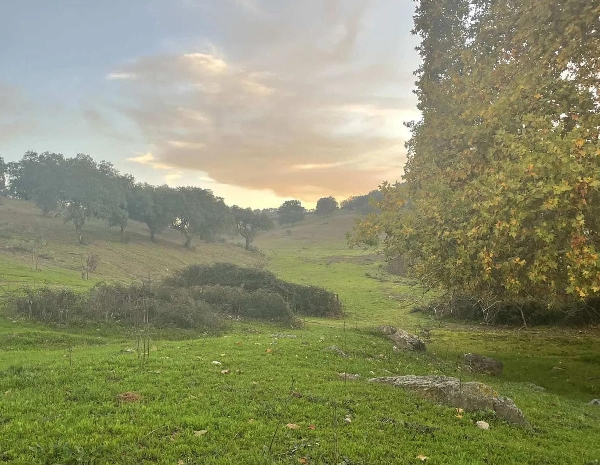 Terrenos el santuario creado en Portugal