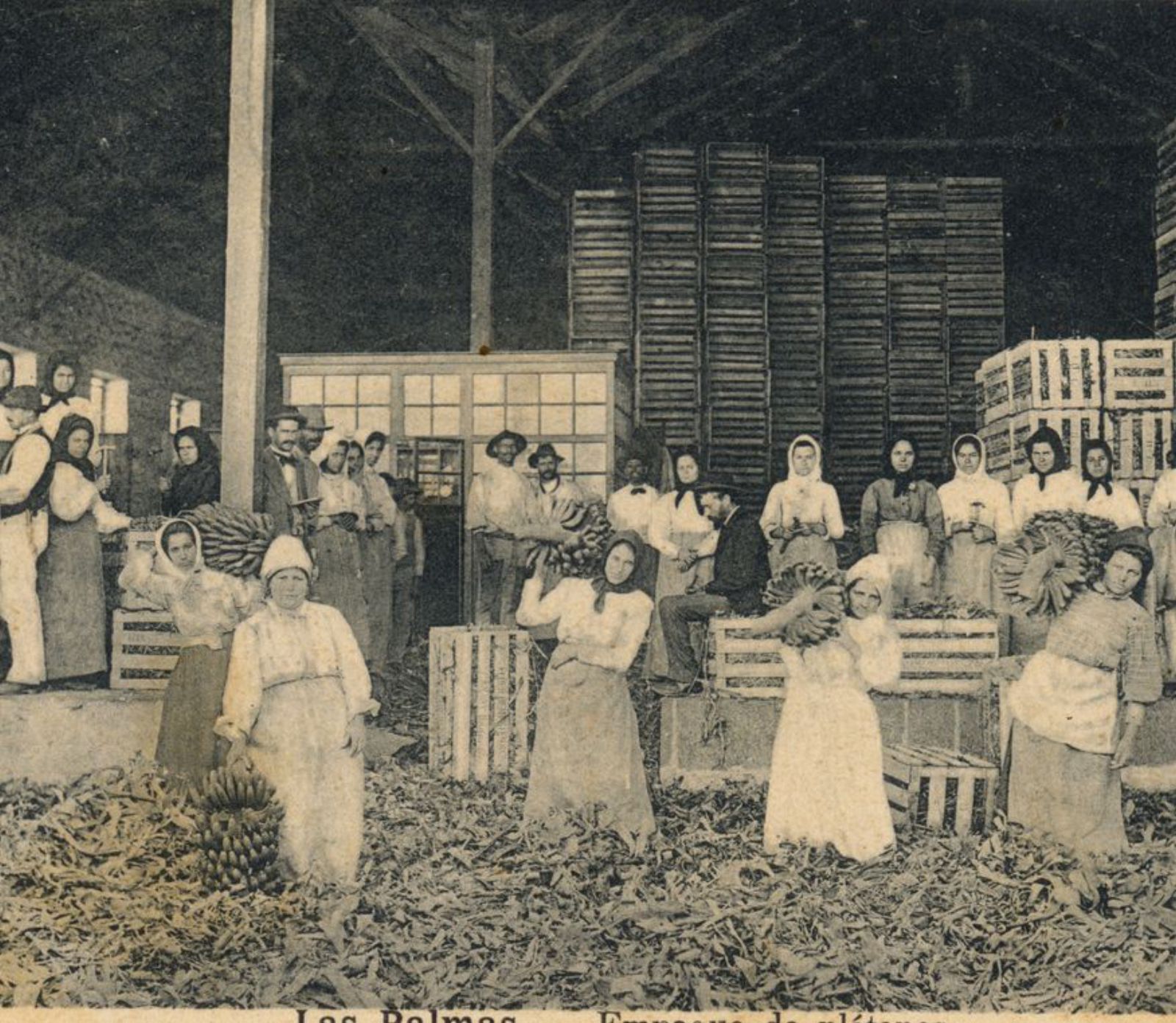 Almacén de empaquetado en una imagen captada entre los años 1910 y 1915.