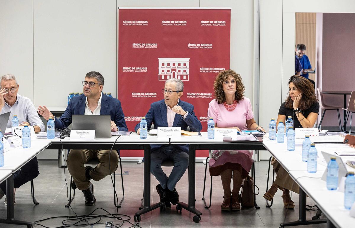 El Síndic de Greuges durante una reunión técnica en Alicante.