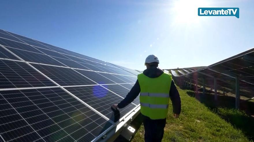 Iberdrola inicia en la C. Valenciana dos plantas fotovoltaicas con 252 millones de inversión y 366 MW de potencia