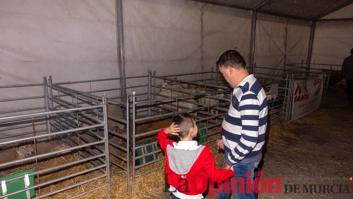 Así se ha vivido la Feria de Cordero Segureño en la pedanía caravaqueña de Archivel