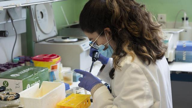 PIE: Laboratorio del Centro Nacional de Biotecnología ( CNB - CSIC ) CRÉDITO: César Hernández