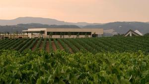 Vista panorámica de las bodegas Vilarnau, en Sant Sadurní d’Anoia.