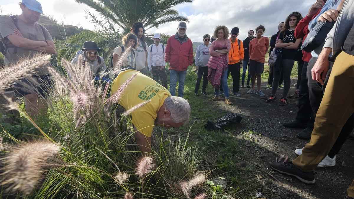 La Sinfónica de Bamberg participa en una reforestación simbólica en Tamaraceite para compensar su huella de carbono