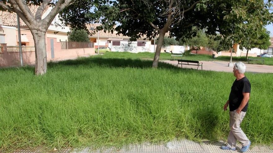 Los jardines se convierten en selvas