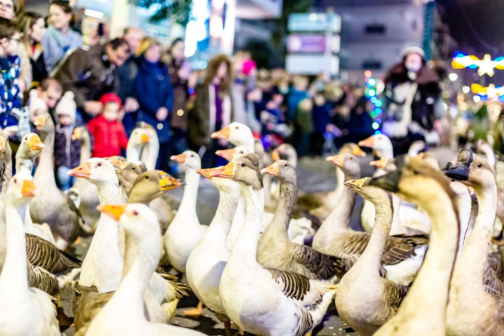 Benidorm aclama a los Reyes Magos.