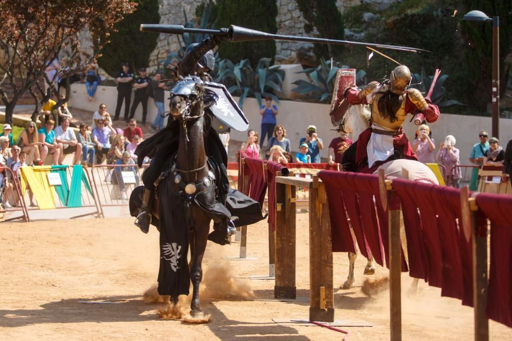 Torneo medieval