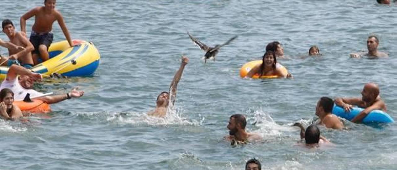 Imagen de archivo de la suelta de patos vivos al mar.