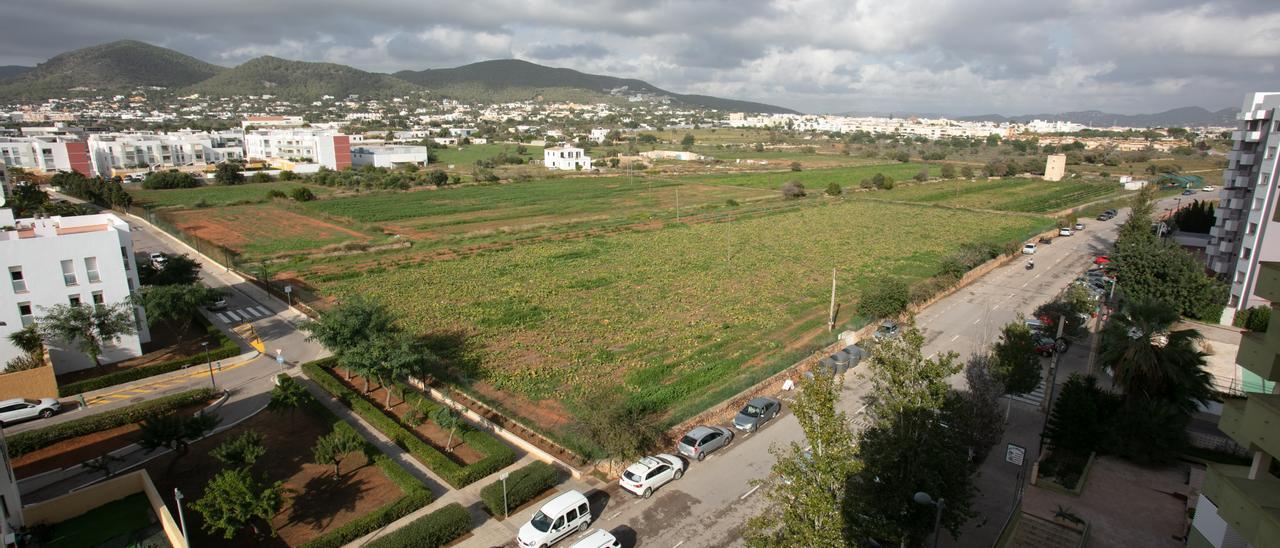 Terrenos donde se construirán las viviendas nuevas