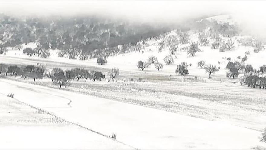 La borrasca ‘Gloria’ deja en la sierra de Cabra las primeras nieves del 2020