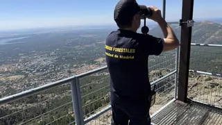 Sol abrasador y mortal: Madrid en alerta máxima por ola de calor y temperaturas superiores a 39 grados