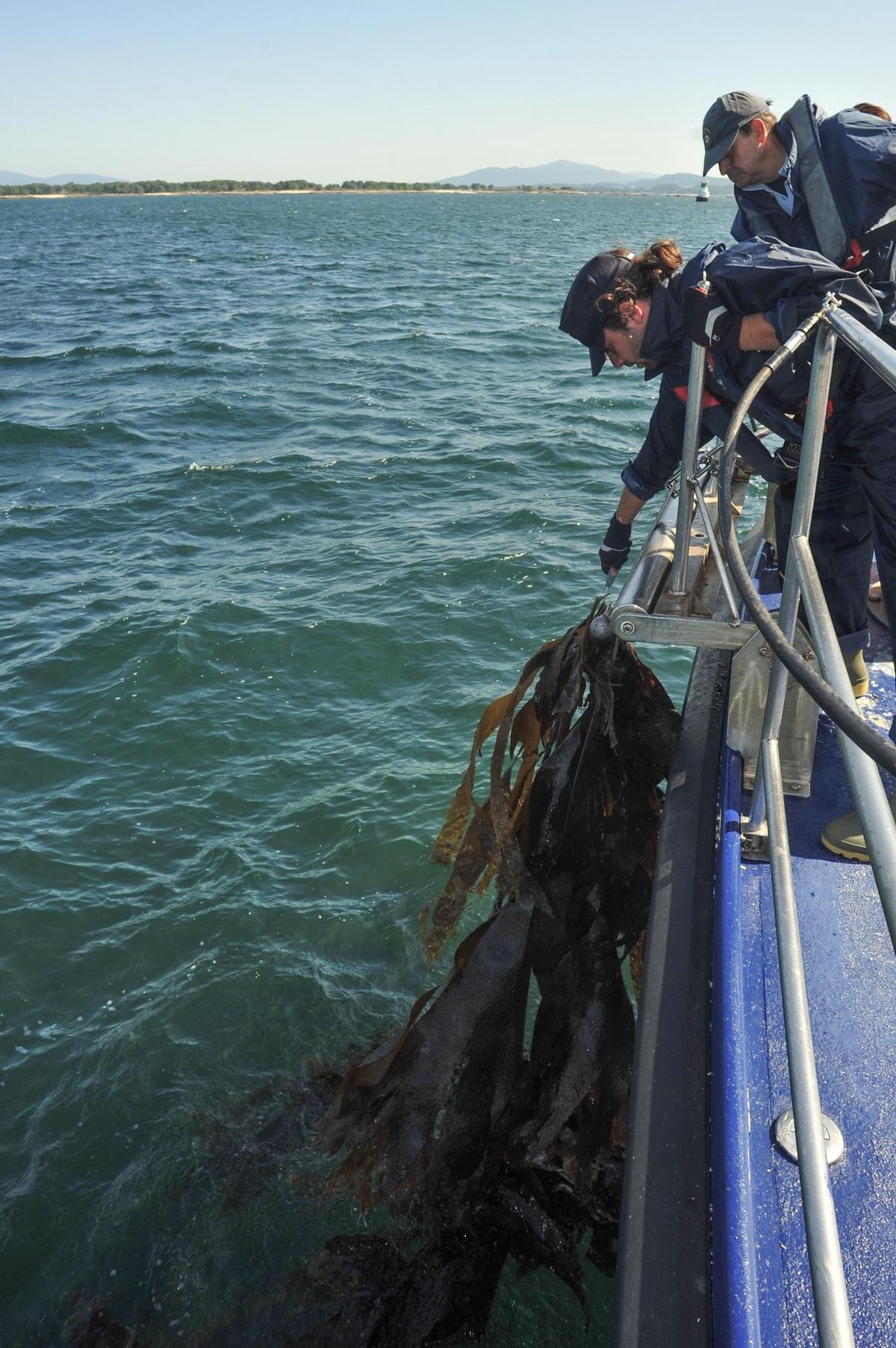 Guardacostas en la ría de Arousa.