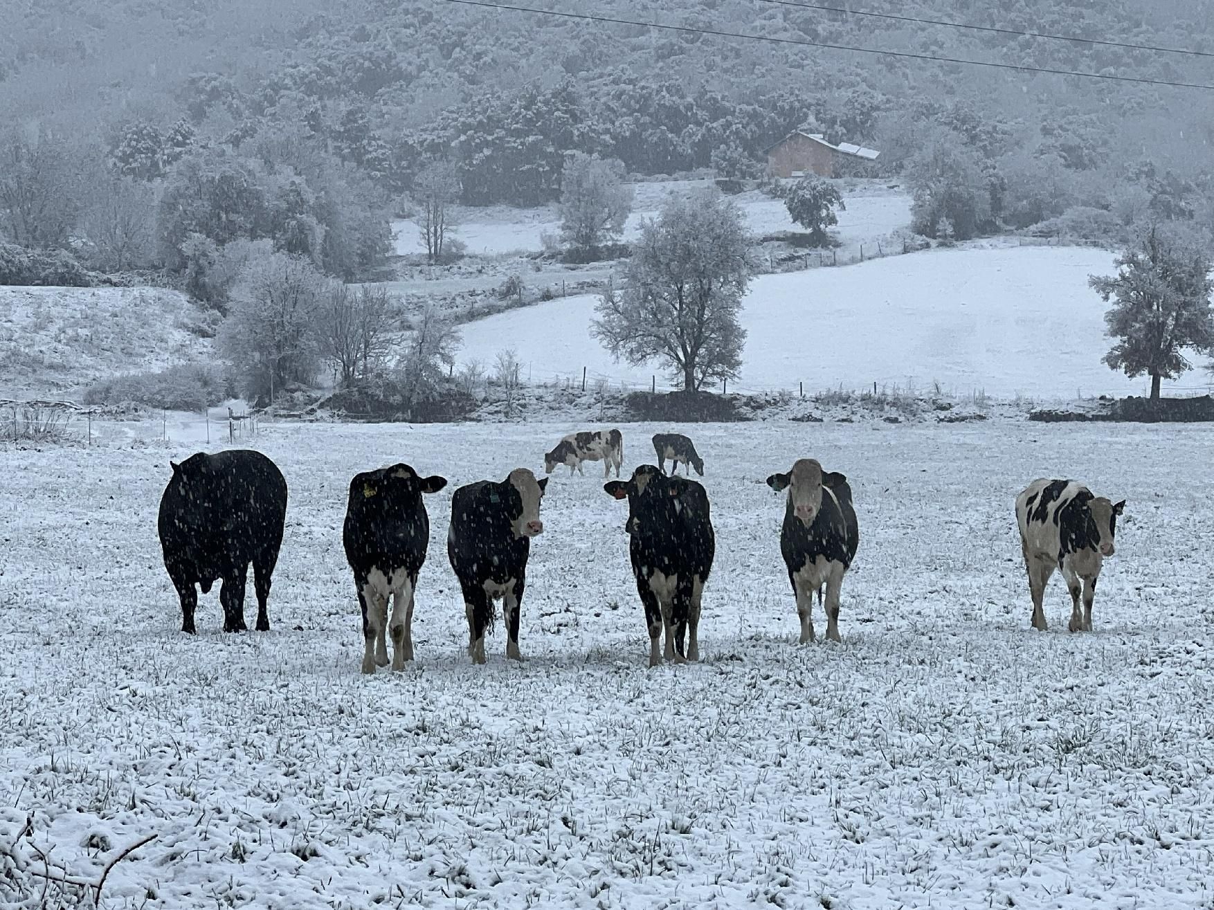 La nevada més important de la temporada emblanquina diferents punts de la Catalunya central