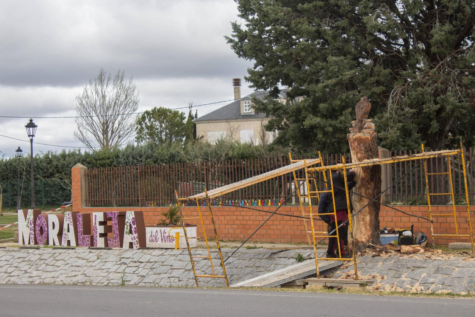 GALERÍA | El árbol de Moraleja que se convirtió en estatua