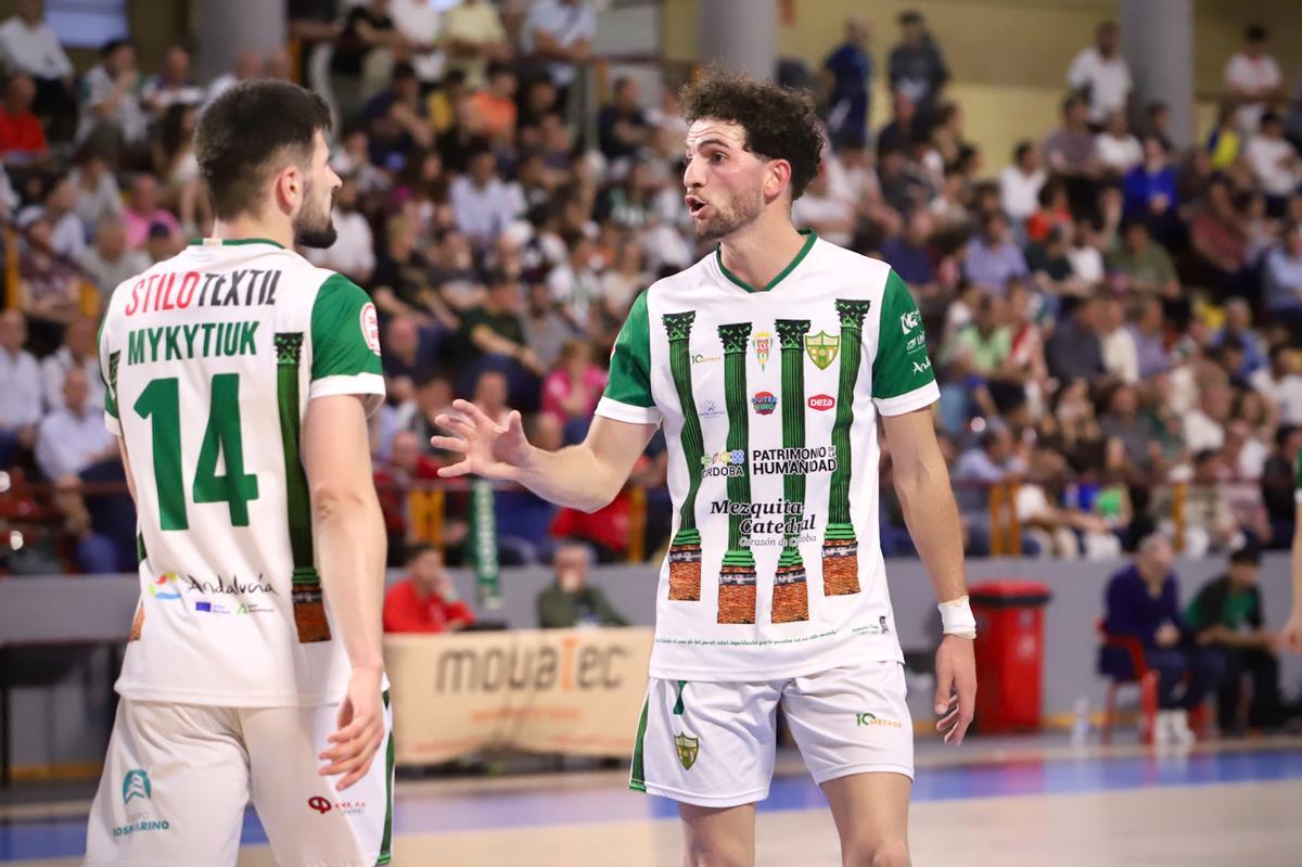 Córdoba Futsal-Jimbee Cartagena: el partido de Vista Alegre en imágenes Córdoba Futsal-Jimbee Cartagena: el partido de Vista Alegre en imágenes