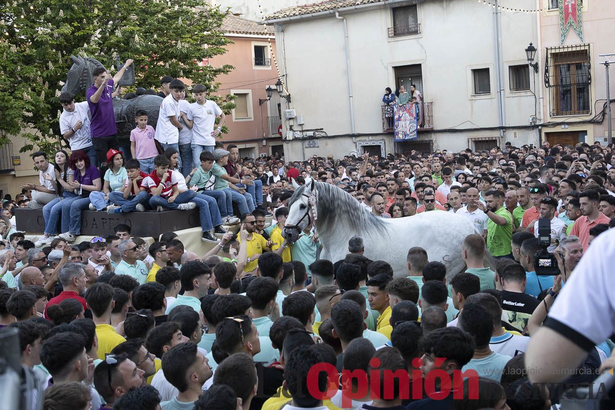Fiestas de Caravaca | Entrega de premios del concurso morfológico