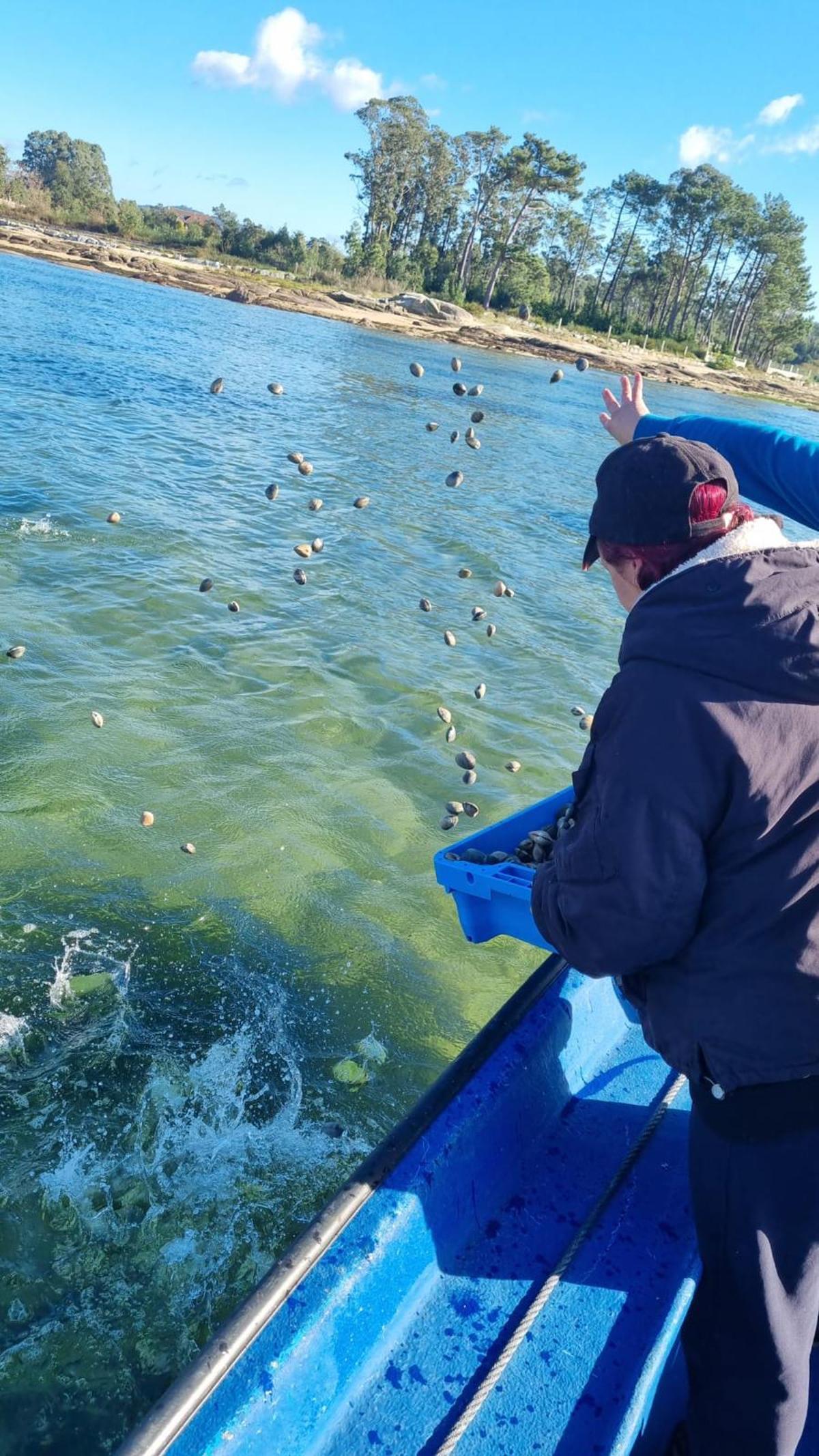 Momento en que resiembran la almeja en la misma zona de la que había salido.