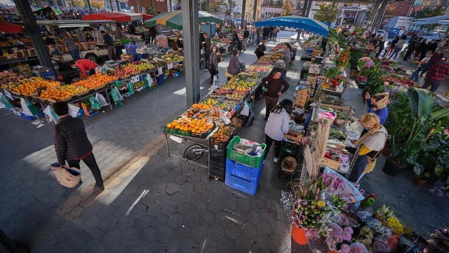 Una rata es passeja per la plaça Catalunya de Figueres en ple mercat de la fruita i la verdura