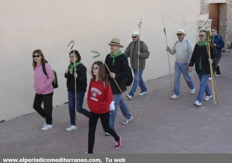 GALERÍA DE FOTOS - Romería Magdalena 2014 (2)