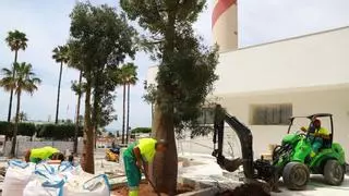 Sube un 47% el coste de las actuaciones de mejora del entorno del Faro de Marbella