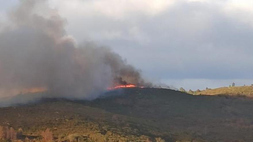 Imagen del incendio que se declaró ayer tarde en Cotobade.  | // UGT-BOMBEROS FORESTALES