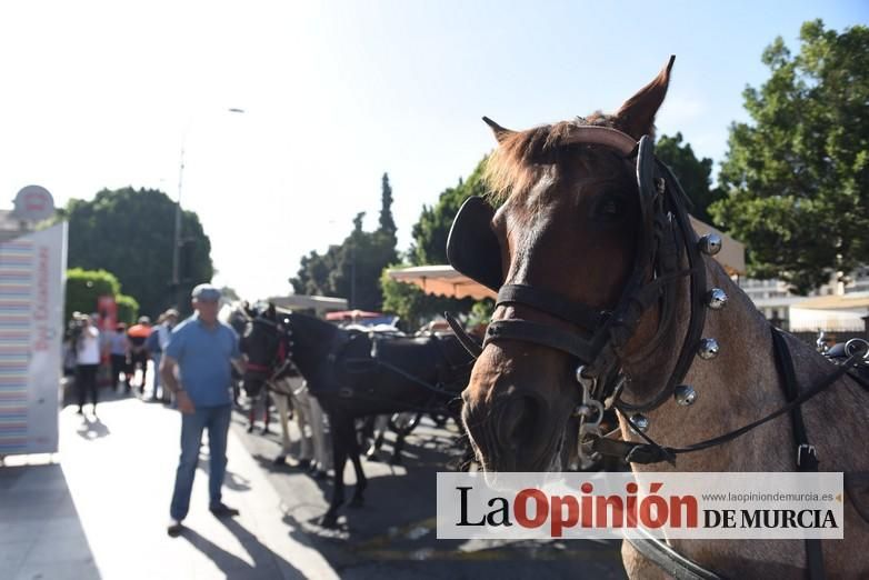 Ruta a caballo desde la ciudad al corazón de la hu