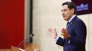 Andalucía lanzará un plan de ayudas a la compra de coches y creará una policía para viviendas turísticas