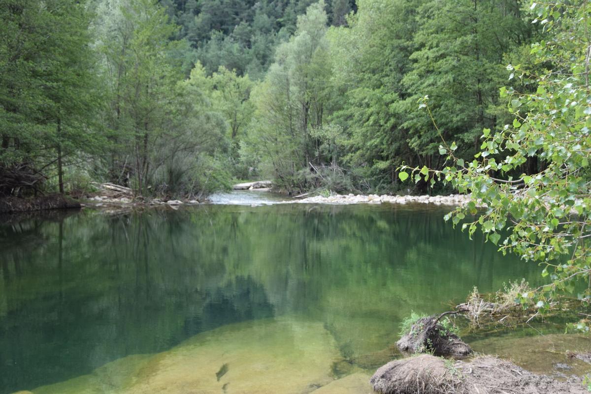 L'entorn del riu Llobregat a la zona de Pedret, en una imatge d'arxiu