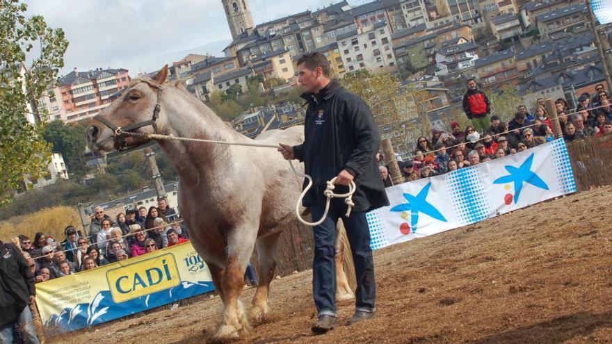 Un dels participants al concurs de dissabte.