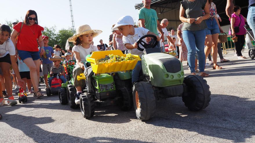 La cooperativa la Unión de Montilla organiza su tradicional vendimia infantil