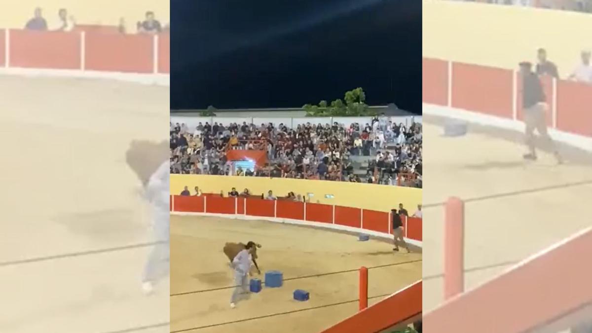 Eliseu acaba cogido por una vaquilla en la plaza de toros de Azambuja