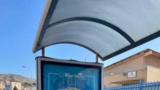 Rincón de la Victoria refuerza su compromiso con la protección de las tortugas marinas