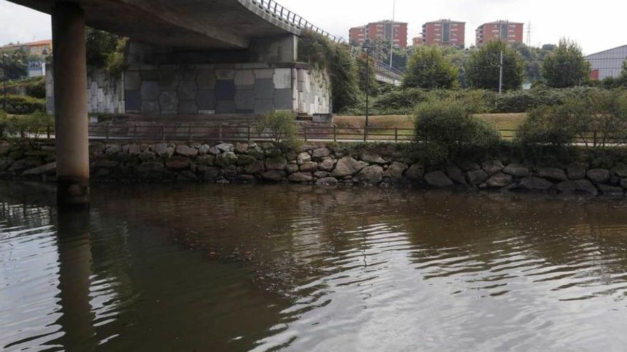 La zona afectada por el vertido.